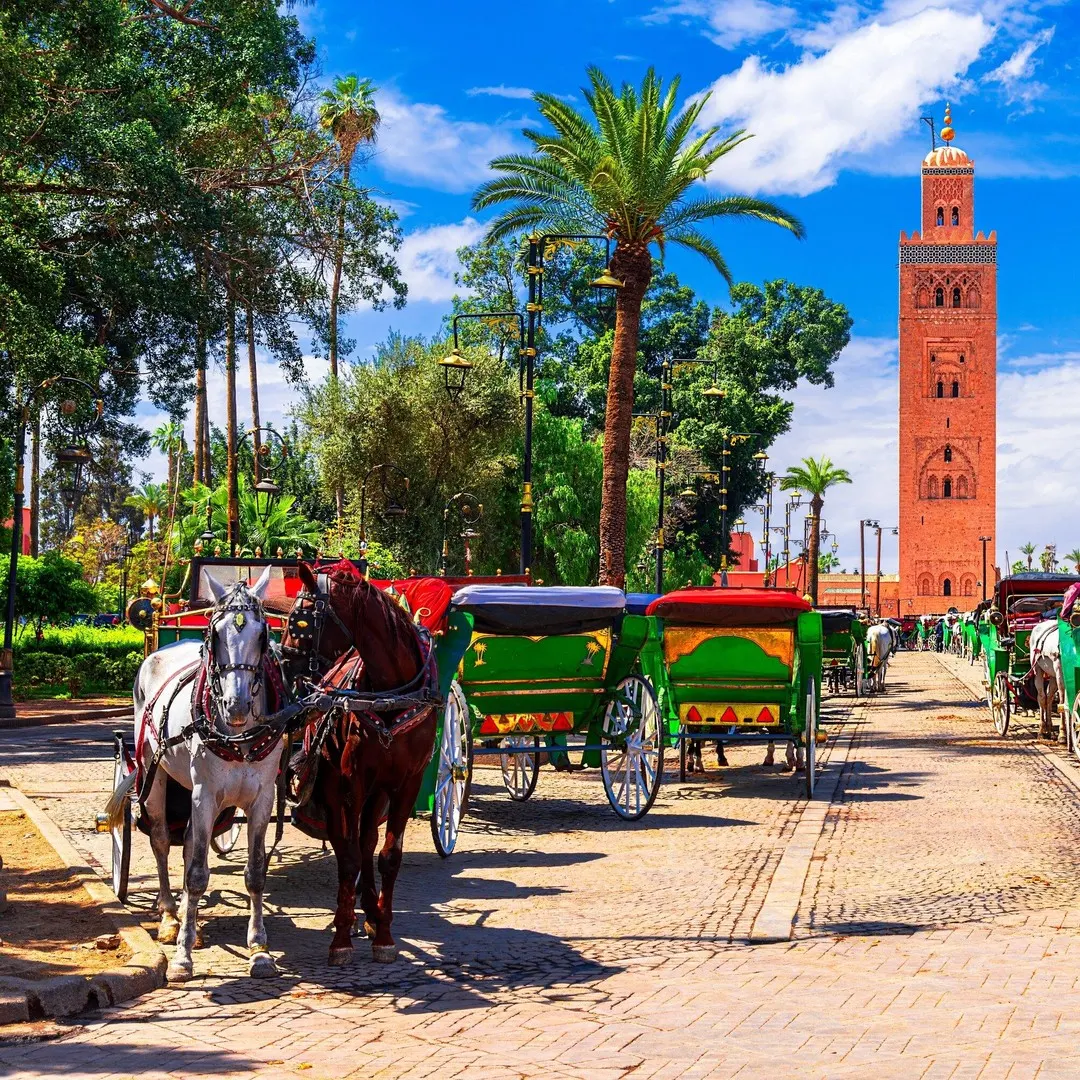 Marrakech — vue 4